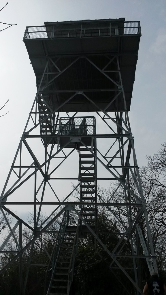 Mt. Albert Fire Tower